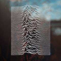 New Dawn Fades