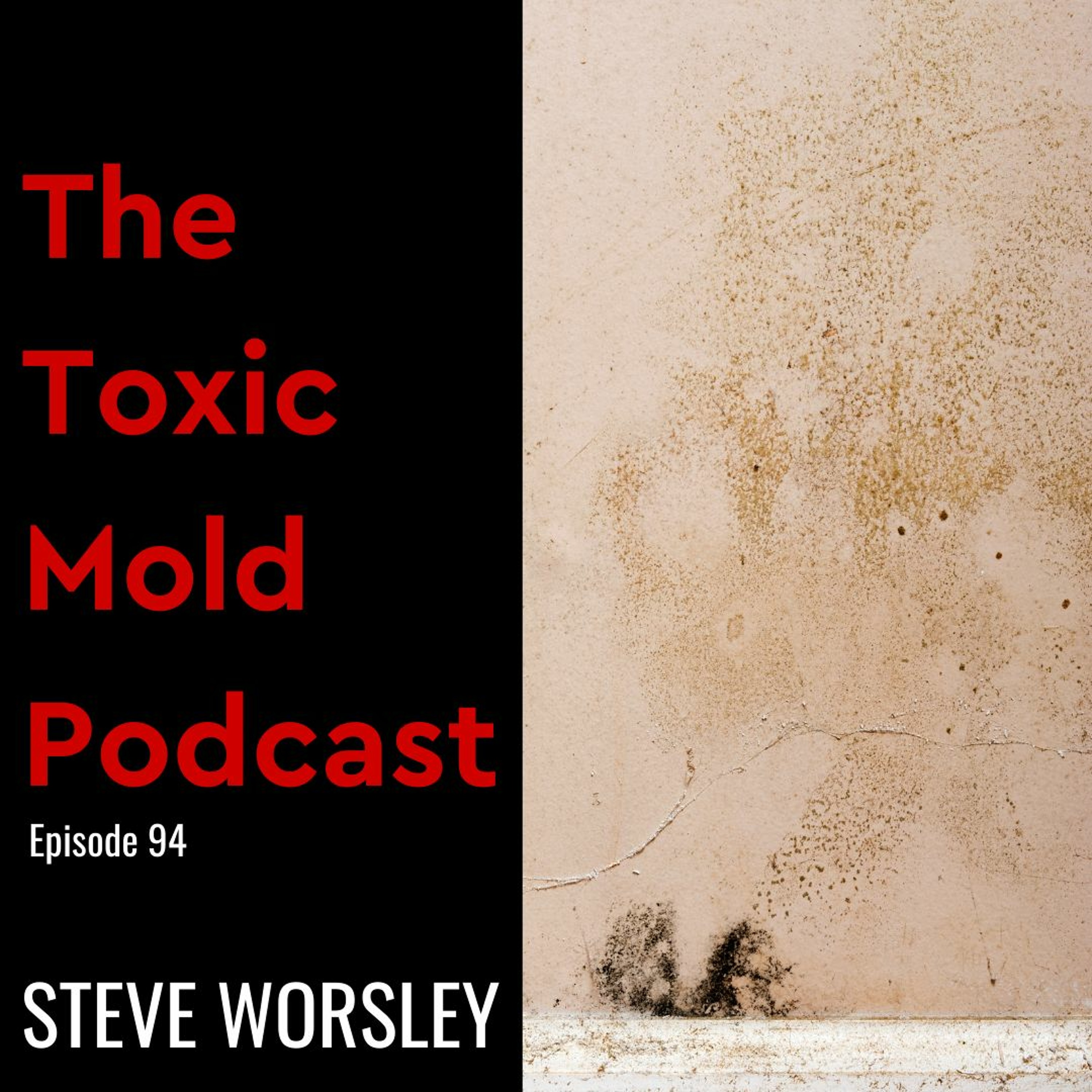 EP 94: Building a Mold Resistant Home