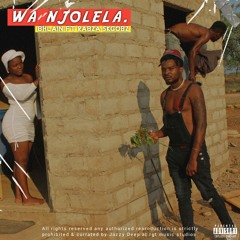 Wa'njolela (feat. Rabza Skgobz )
