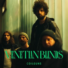 Coilguns - Venetian Blinds