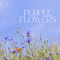 PURPLE FLOWERS