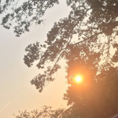 why don't we go outside? (instrumental)
