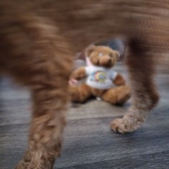 Glory (jid freestyle)