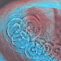 Peter Bell - P. F. Echoes set -