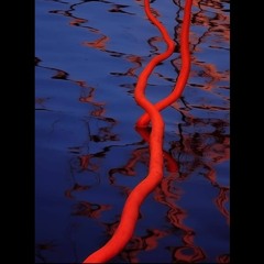 Fjord
