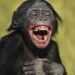 Make Me Laugh instrumental