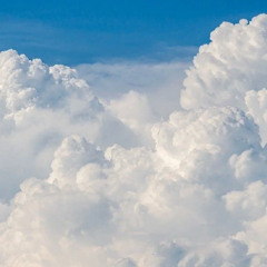 Mellotron Cello Bird 3_1