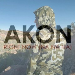 Akon - Right Now (Vidalito Hardstyle Edit)