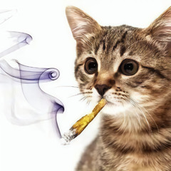 xy£ty govorit£l` #3™