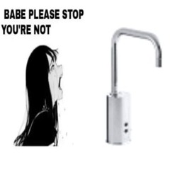 stoppp youre not "kohler gooseneck singlehole touchless dcpowered faucet (free delivery by tuesday)"
