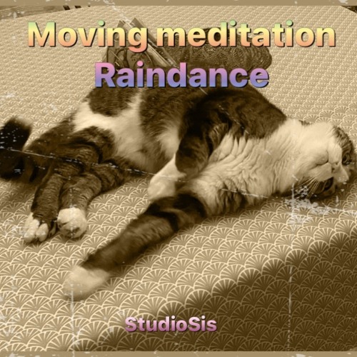 Moving - Meditation - Raindance Sissi - Bilfeldt
