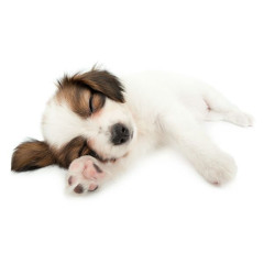 first day of summer (ericdoa cover)