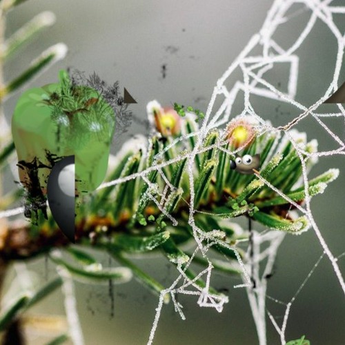 DJALICE BTTRFFLNE RMX;bnc3