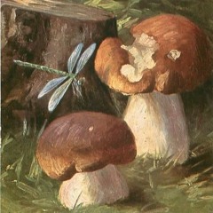 mushroom