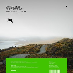 DIGITAL MESS Find Yourself (Alex O'Rion Remix)