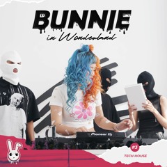 Bunnie In Wonderland #3: B-Day Liveset (Tech House)