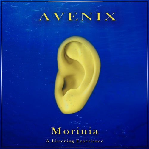 Morinia ft. [geofry smart punk for electric guitars]