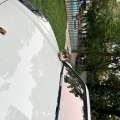 listen before you die