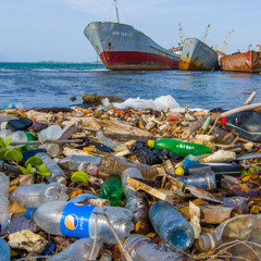 ENVIRONNEMENTALES DU 07 JUIN 2025