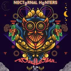 FowlOwl - Nocturnal Hunters  [UP Records]