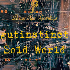PREMIERE: gutinstinct - Sold World [Dream Raw Recordings]