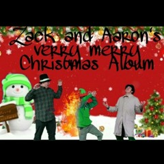 13. 12 Days of Christmas// Zack and Aaron's Verry Merry Christmas Album
