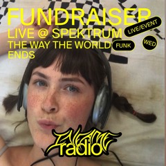 the way the world ends 1 (live at IR Fundraiser)