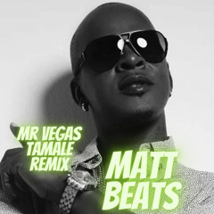 Mr. Vegas Ft Fatman Scoop- Tamale  (Matt Beats Remix)
