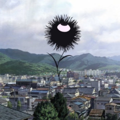 A flower bloomed
