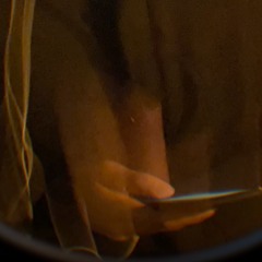 好きだけでは