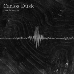 Carlos Dusk · rice for rats .03