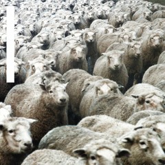 Will Not Fear - LSYB (Will Not Fear Variation Op. 1) ft. JP, sokodomo, viceversa, Untell