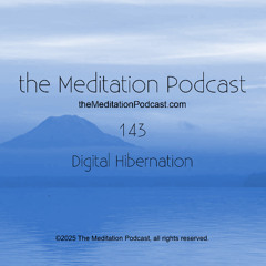 tmp143 - Digital Hibernation