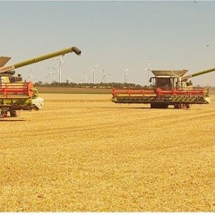 DRESCHER BALLERN 2025💯