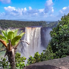 chutney 🇹🇹🇬🇾