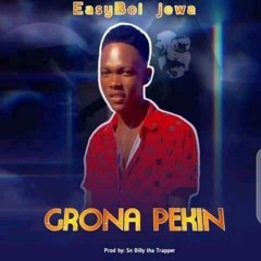 Grona Pekin_Esayboi Jewa_Prod by Sn Billy