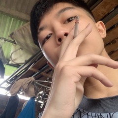 Vĩnh Biệt Màu Xanh Remix  Phương Phương Thảo Minh Lý Remix
