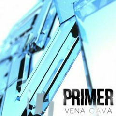 Vena Cava - Primer