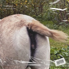 Trømmel - Cinnamon Poison / ATMS002