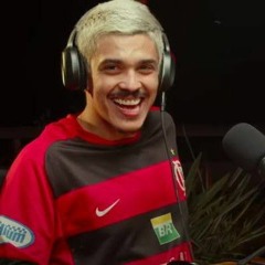 carro bicho