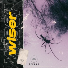 Seekay feat Chloe Kay - Wiser