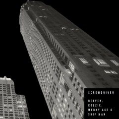 Screwdriver (Beaven Bootleg)