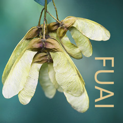 FUAI