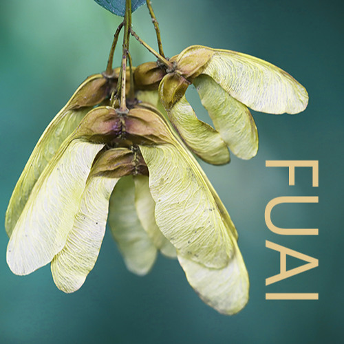 FUAI