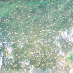 the river and its waters ("argine" live session - mix 2)