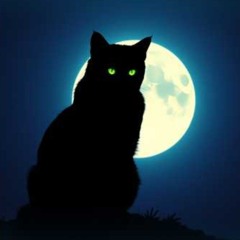 Cat's got your nose tonight