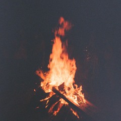 beary palmer - burning door 25