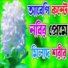 আবেগি কন্টে মিলাদ শরীফ
