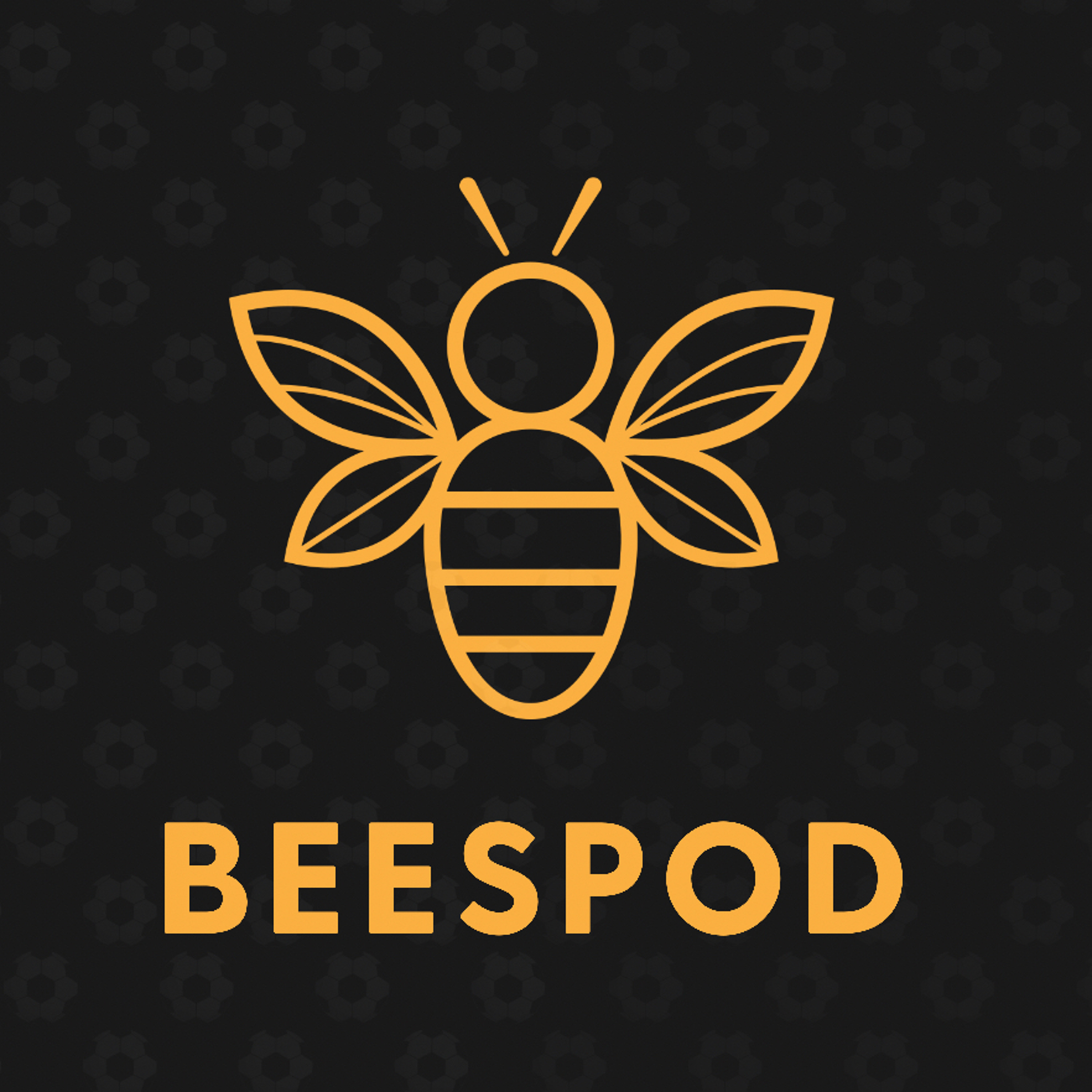 BeesPod - Barnet FC Podcast