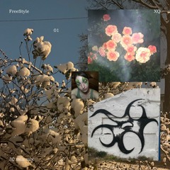 ХQ - FreeStyle